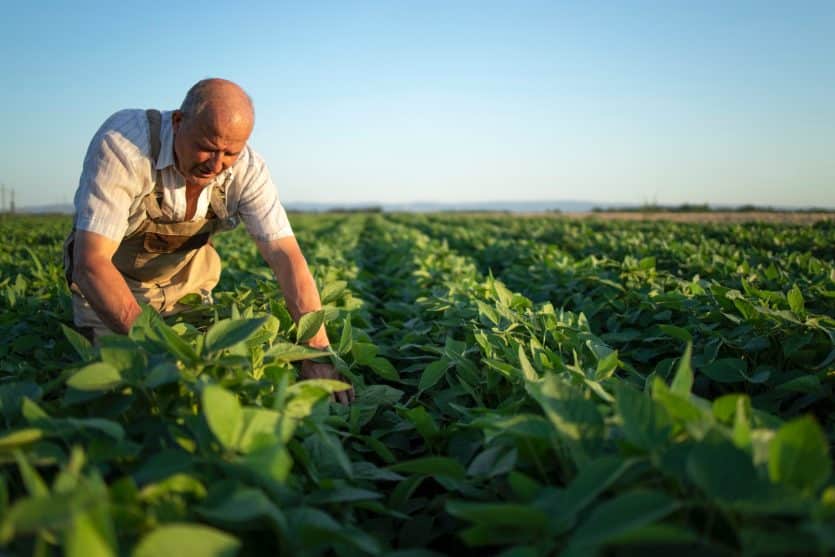 ayudas para el emprendimiento rural